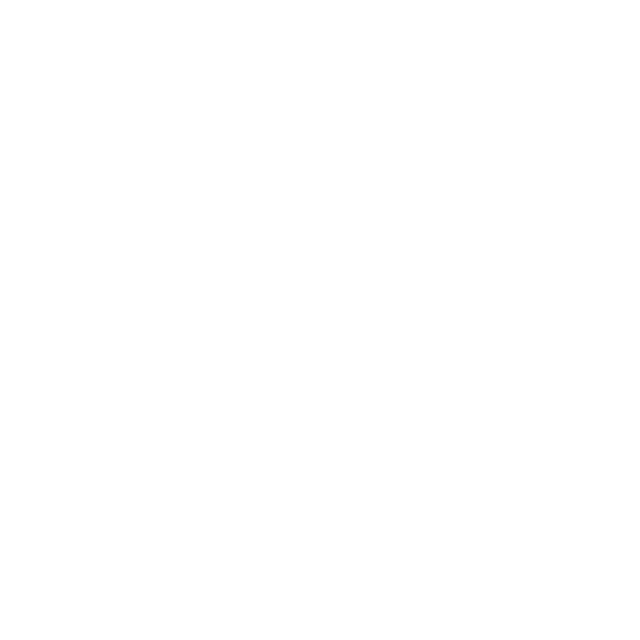 9PM Dev Logo